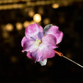 Buddha Stones Handcrafted Silk Art Velvet Flower Iris Flower Brooch