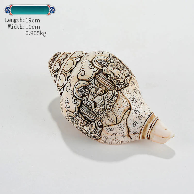 Tibetan Handmade Engraved Shankha Buddha Avalokitesvara Conch Shell Wealth Decoration