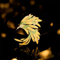 Buddha Stones Phoenix Feather Strength Copper Brooch