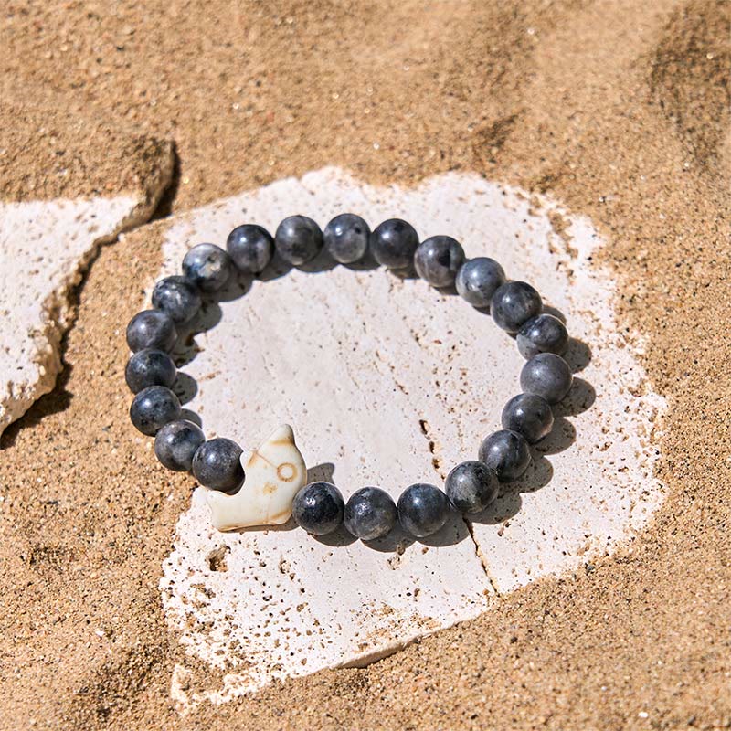 Buddha Stones Natural Various Stones Dolphin Spiritual Balance Bracelet