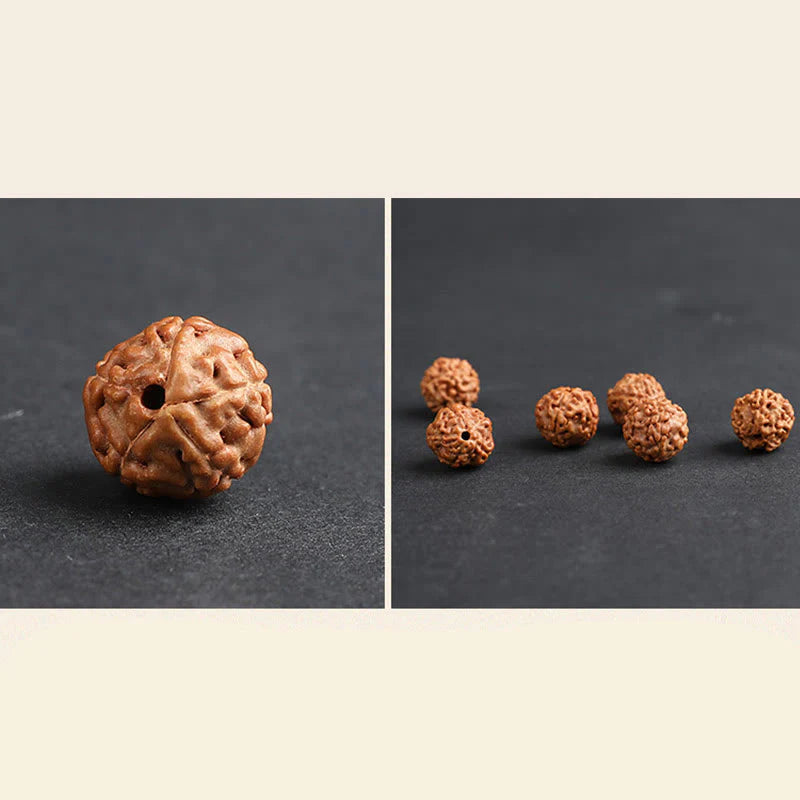 Buddha Stones Tibet Rudraksha Bodhi Seed PiXiu Copper Coin Wealth Luck Bracelet