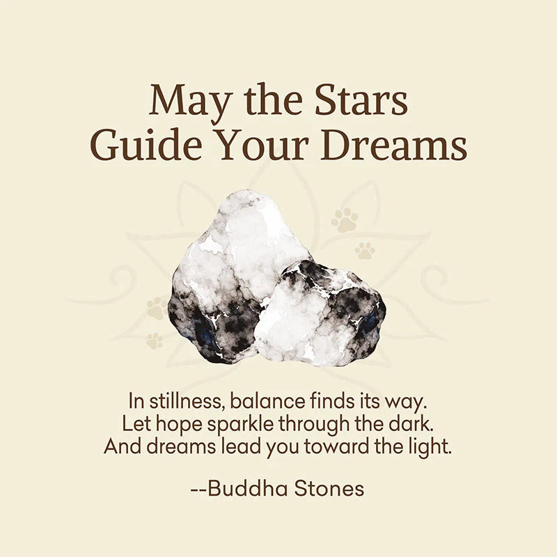 Buddha Stones May the Stars Guide Your Dreams Orca Agate Bracelet Includes Gift Message Card