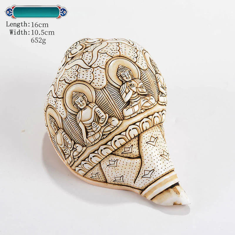 Tibetan Handmade Engraved Shankha Buddha Avalokitesvara Conch Shell Wealth Decoration