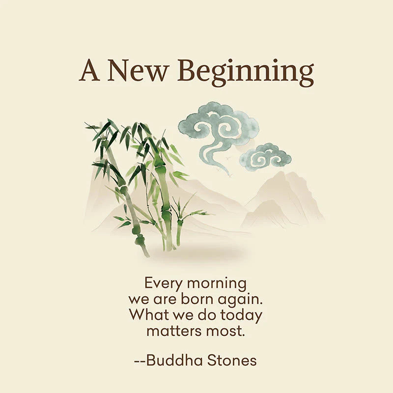 Buddha Stones A New Beginning Bamboo Micro Crew Women's Socks Includes Gift Message Card