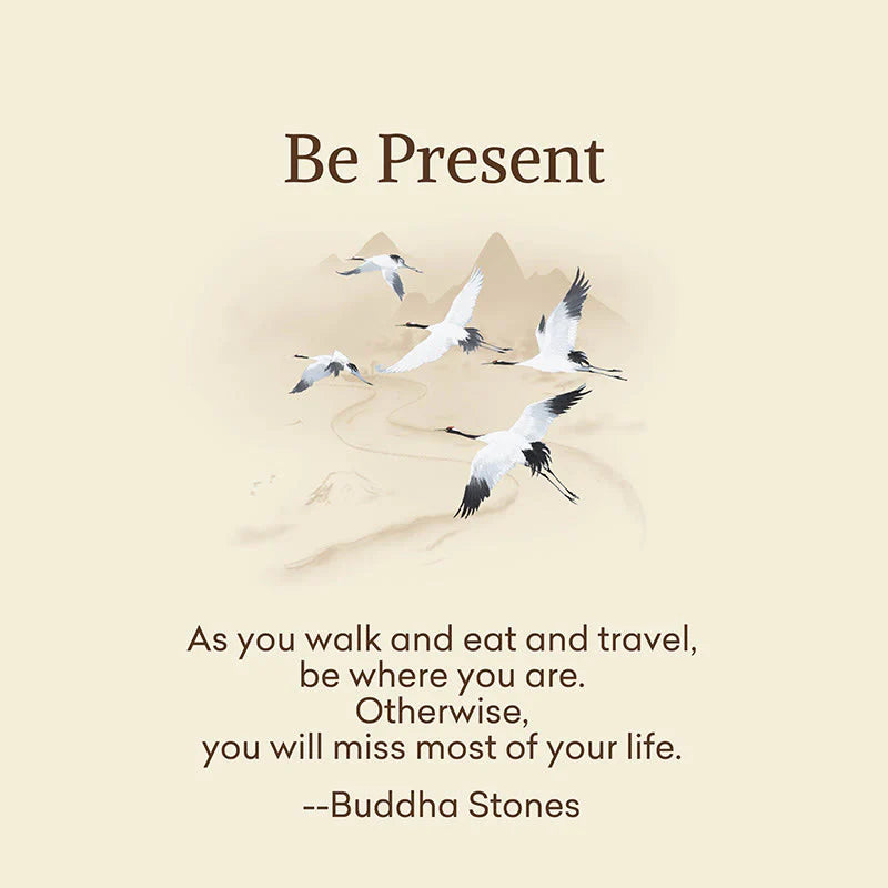 Buddha Stones Be Present Casual White Red Cranes Men Women Unisex Socks Includes Gift Message Card