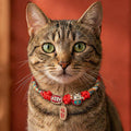 FREE Today: Luck and Protection Red String Plaited Auspicious Fu Character Adjustable Cats Pet Collar
