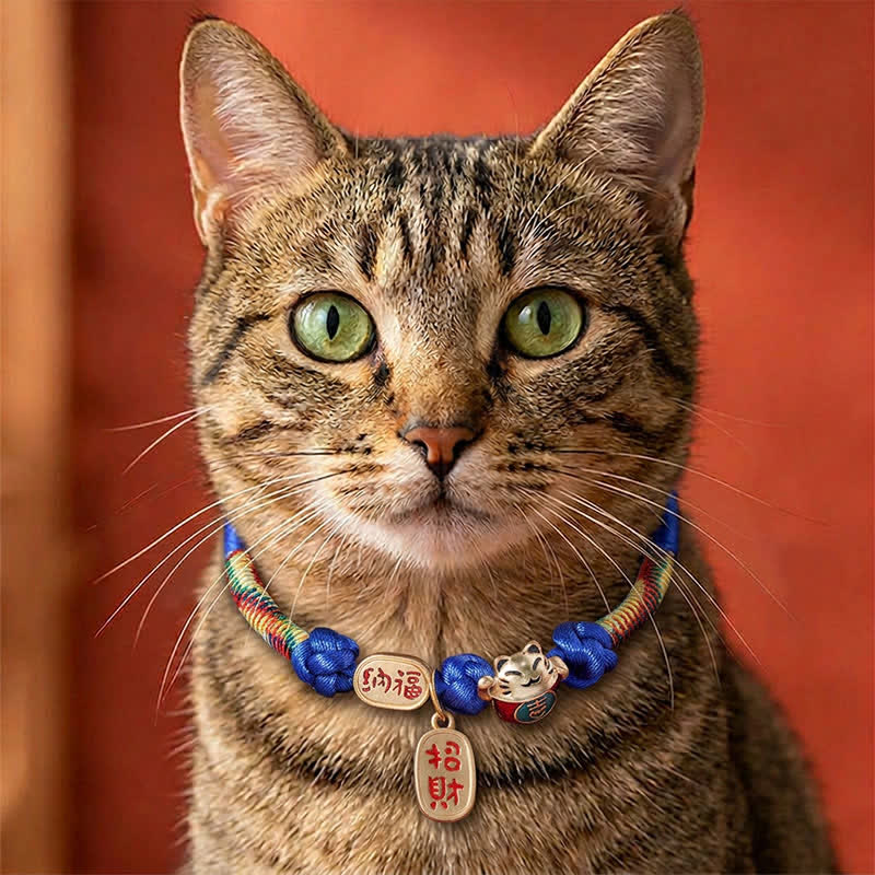 FREE Today: Luck and Protection Red String Plaited Auspicious Fu Character Adjustable Cats Pet Collar